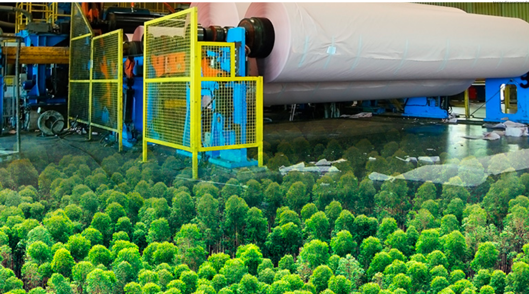 Startup sueca desenvolve planta piloto para material de madeira que purifica o ar - TecnoDicas e Trends