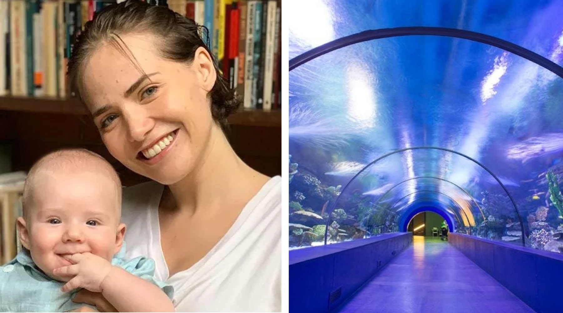 Letícia Colin Surpreende ao Levar o Filho para uma Experiência Mágica no AquaRio! TecnoDicas e Trends
