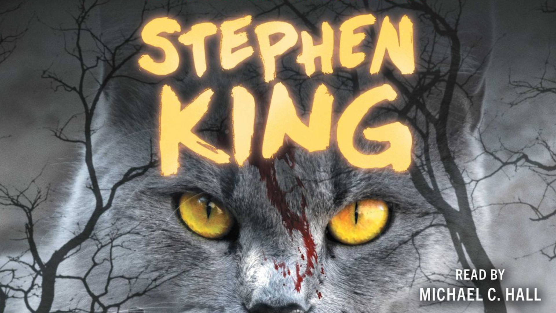 O Erro de Ortografia que Transformou ‘Pet Sematary’ no Horror Mais Assustador de Stephen King!